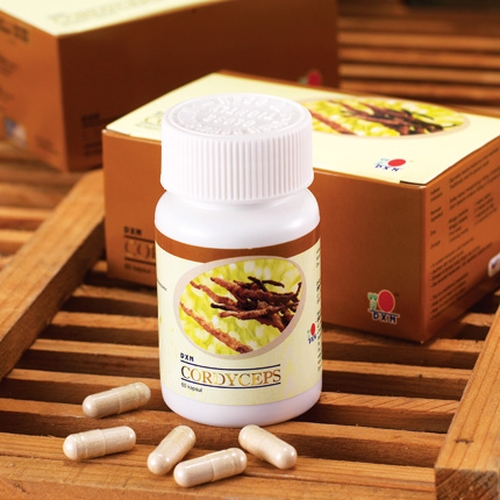 DXN Cordyceps capsules: natural Viagra of the Himalayas without side effects.