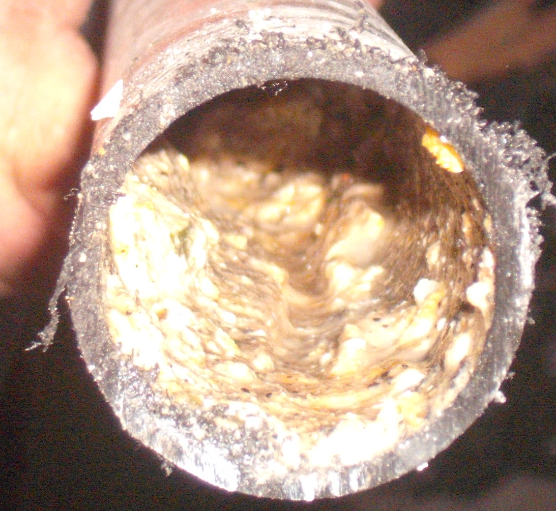 Congestion in a drain pipe is similar to dirty gastrointestinal tracts.