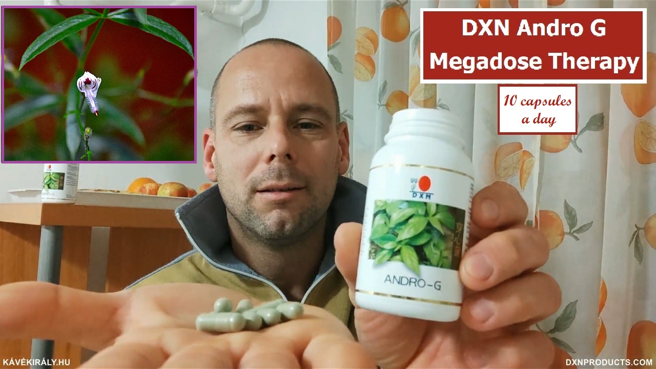 Green capsules of DXN Andrographis paniculata