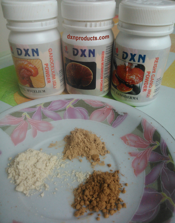 Red Reish extract is the active ingredient of the 90-day-old Ganoderma medicinal mushroom.