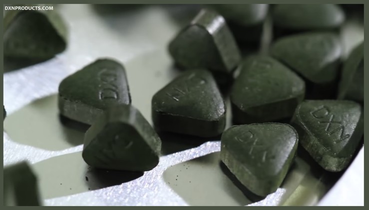 DXN Spirulina platensis tablets: the green wonder algae superfood that has tons of nutrients