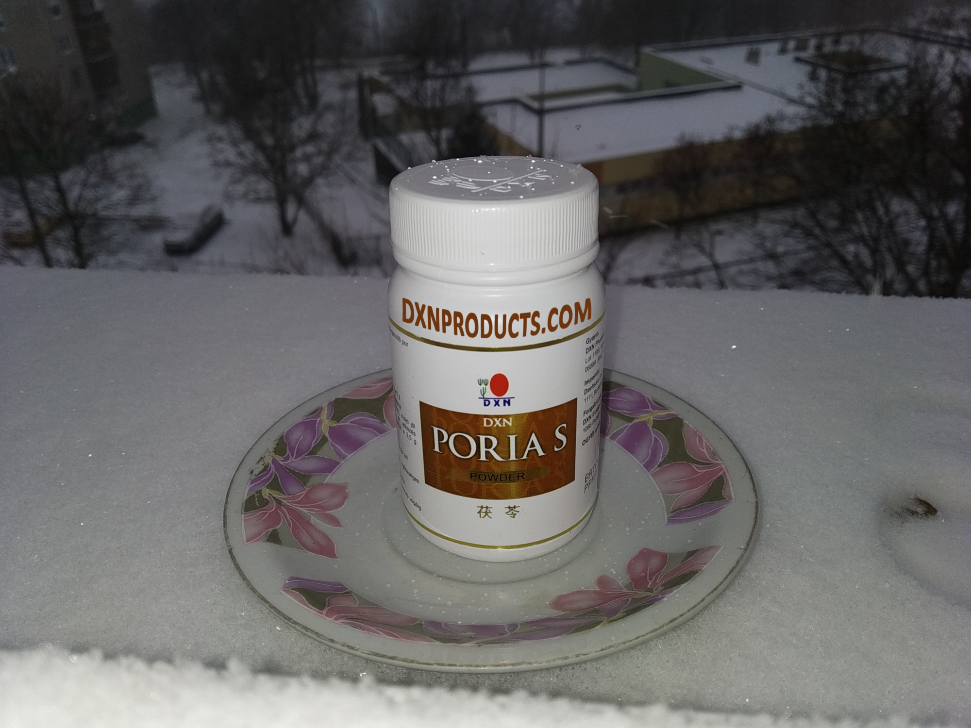 DXN Poria S in snowy window