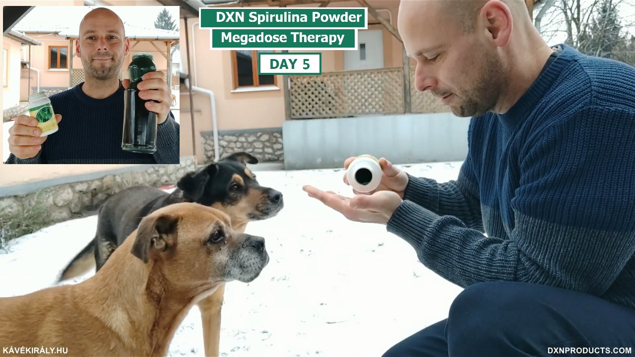 Dogs love DXN Spirulina alga tablets
