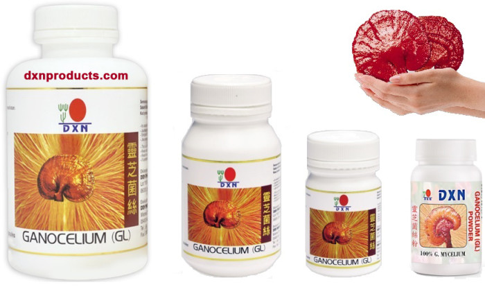 Ganocelium extract capsules and powder from DXN company