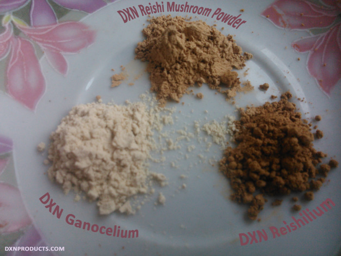 DXN Ganoderma extracts with 100% pure active substance.
