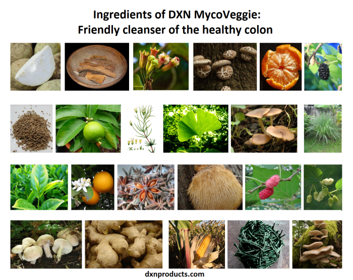 DXN MycoVeggie is a friendly colon cleanser herb, spice, vegetable and mushroom mixture