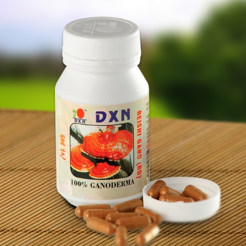 Reishi Gano capsules: DXN RG 360-piece medicinal mushroom capsules for strong, effective detoxification