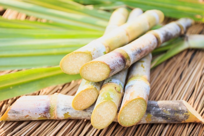 Cane sugar is a healthier form of sugar because sugar cane's roots are in the ground but the plant reaches to the sky as well.