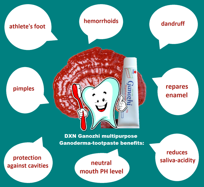 Toothpaste with Ganoderma can be used internally and on the skin as well.