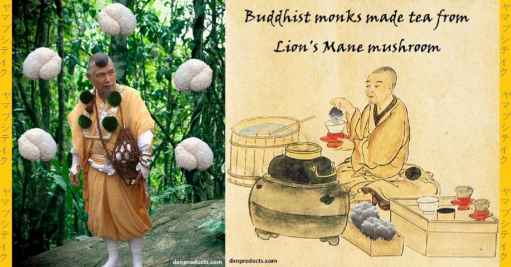 Yamabushi-monks used Lion's Mane medicinal mushroom for making tea too.